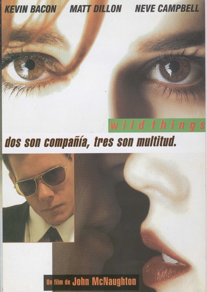 玩尽杀绝 Wild Things [1998][悬疑 / 惊悚 / 犯罪][美国]