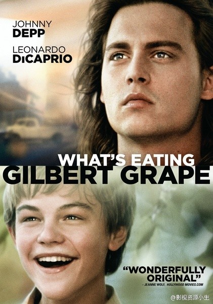不一样的天空 What's Eating Gilbert Grape [1993][剧情 / 爱情 / 家庭][美国]